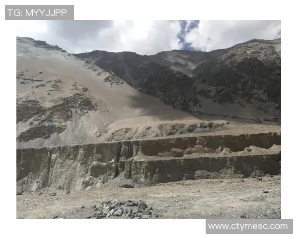 深度探讨杨秀英在CSGO中的成长与挑战之路